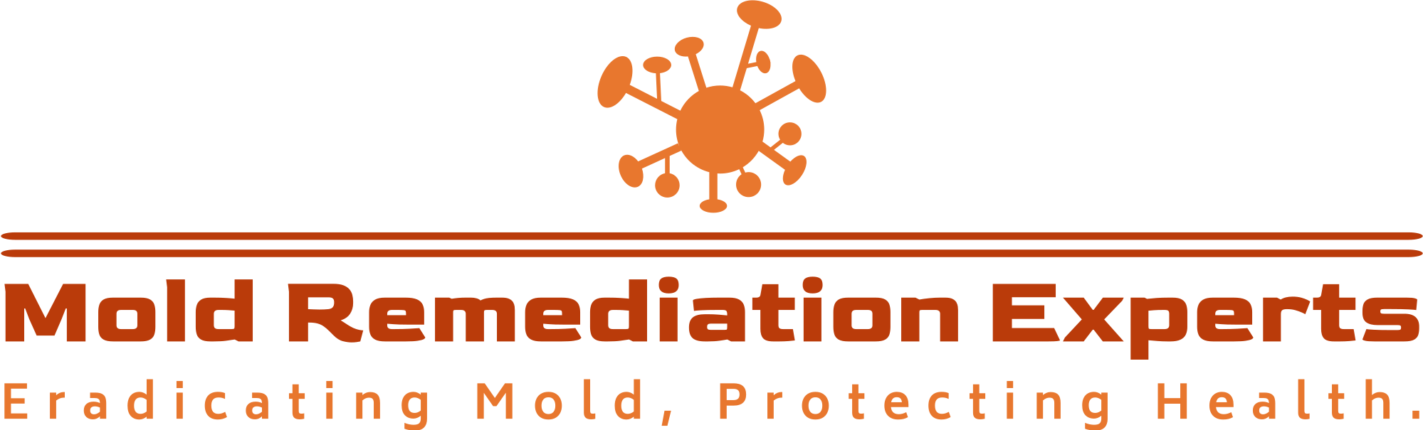 Mold Remediation Experts Miami Florida